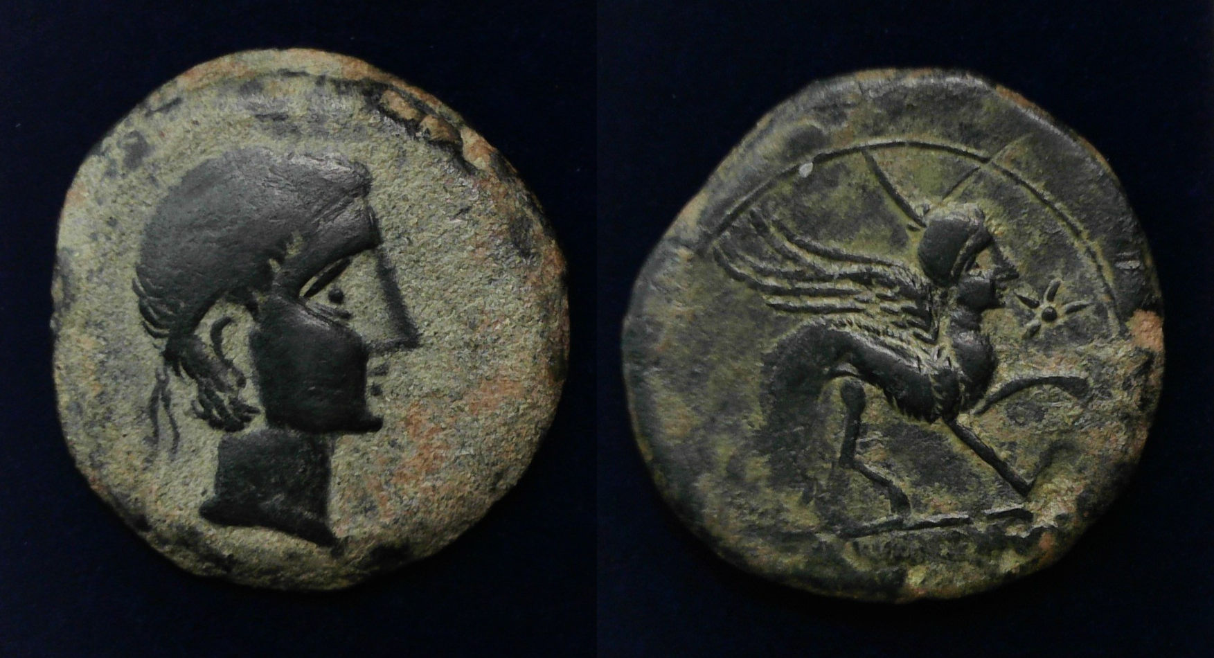 Castulo sphinx 2ndC.jpg