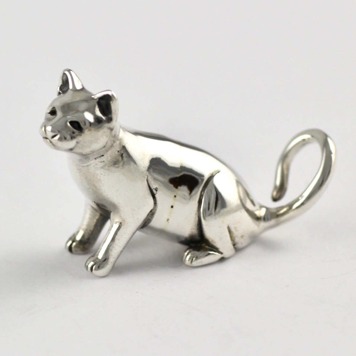 cat 1 copy 3.jpg