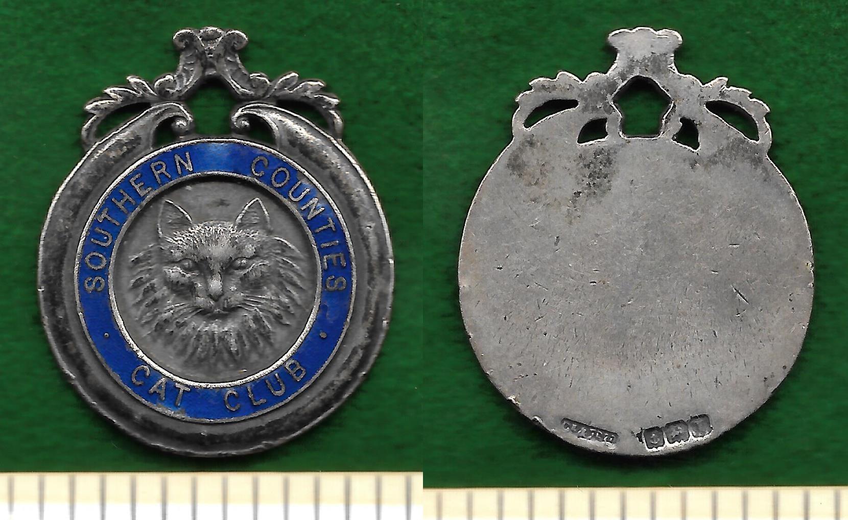 Cat Badge.jpg