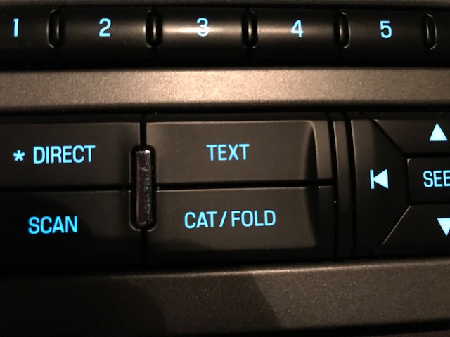 cat fold button.jpg