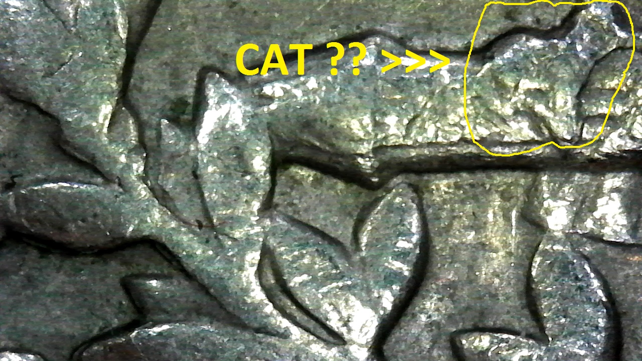 cat.jpg