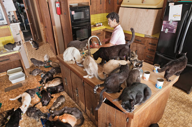 cat lady.jpg
