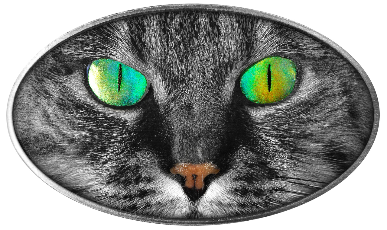 Cat_Produktfoto__87763.1496238766.1280.1280.jpg