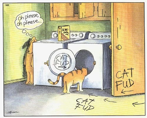 catfud.jpg