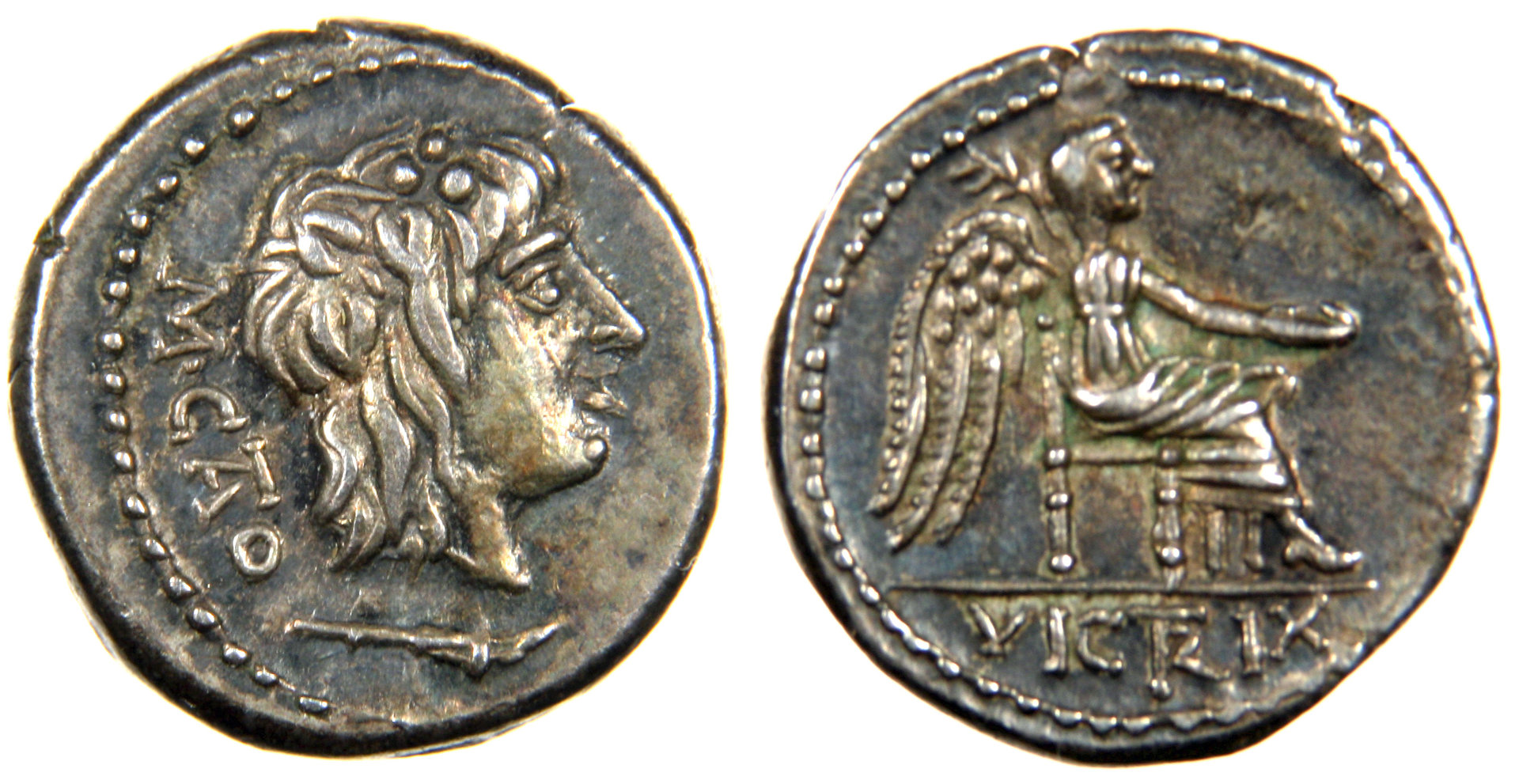 catoquinariuscombined.jpg