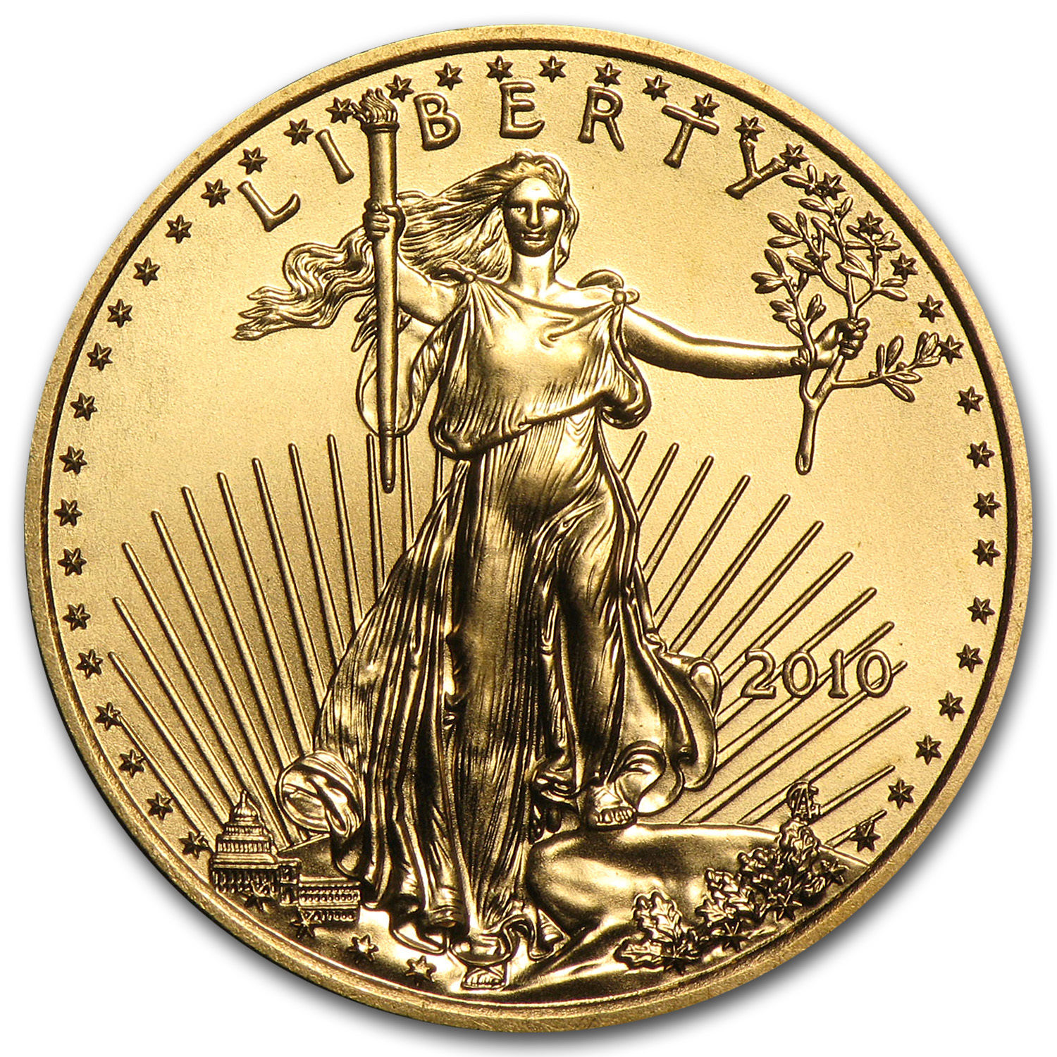 CB 2010 BU Eagle.JPG