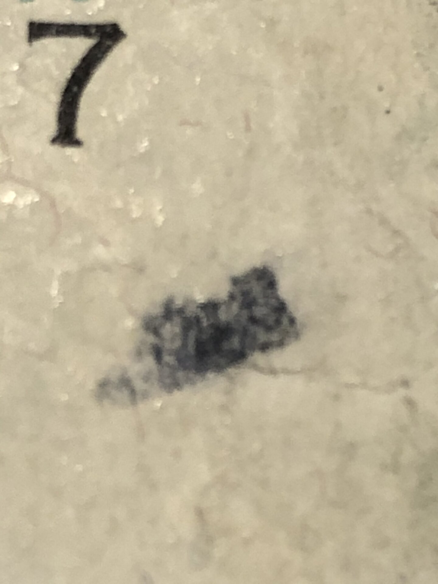 CBD1C42C-EBF1-457B-8F3F-0D77F094D9CF.jpeg