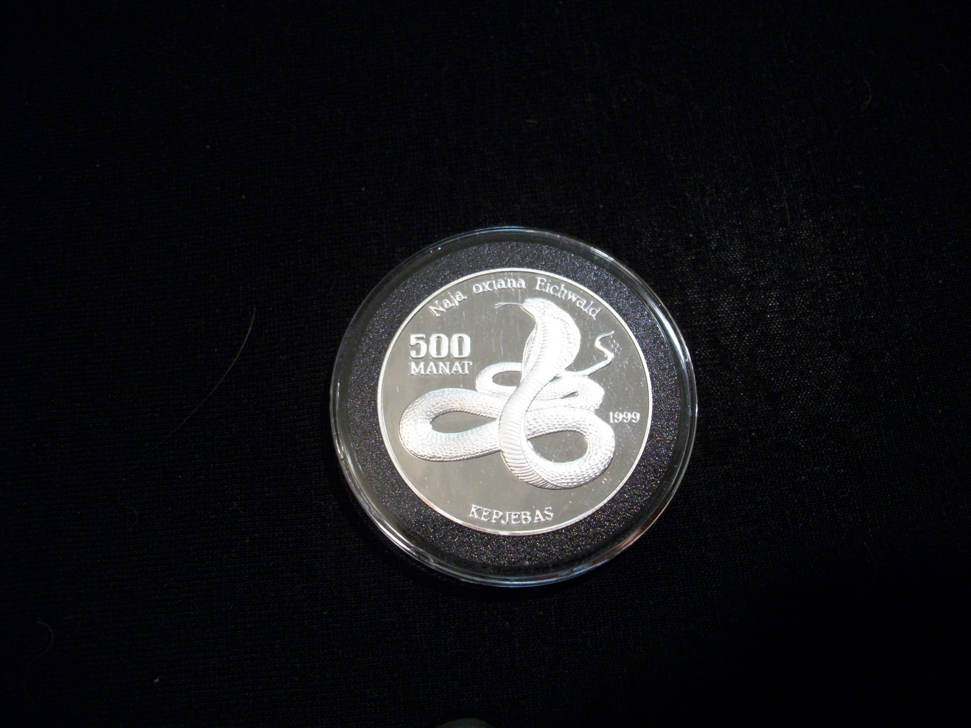 cc 13 077.jpg