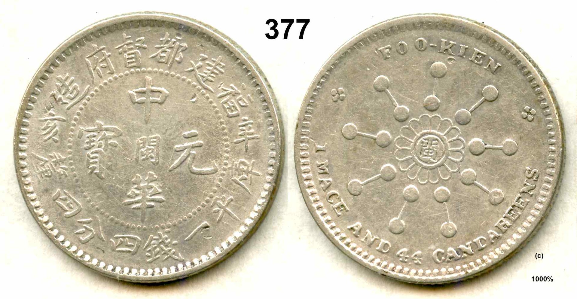 CC377.c.jpg
