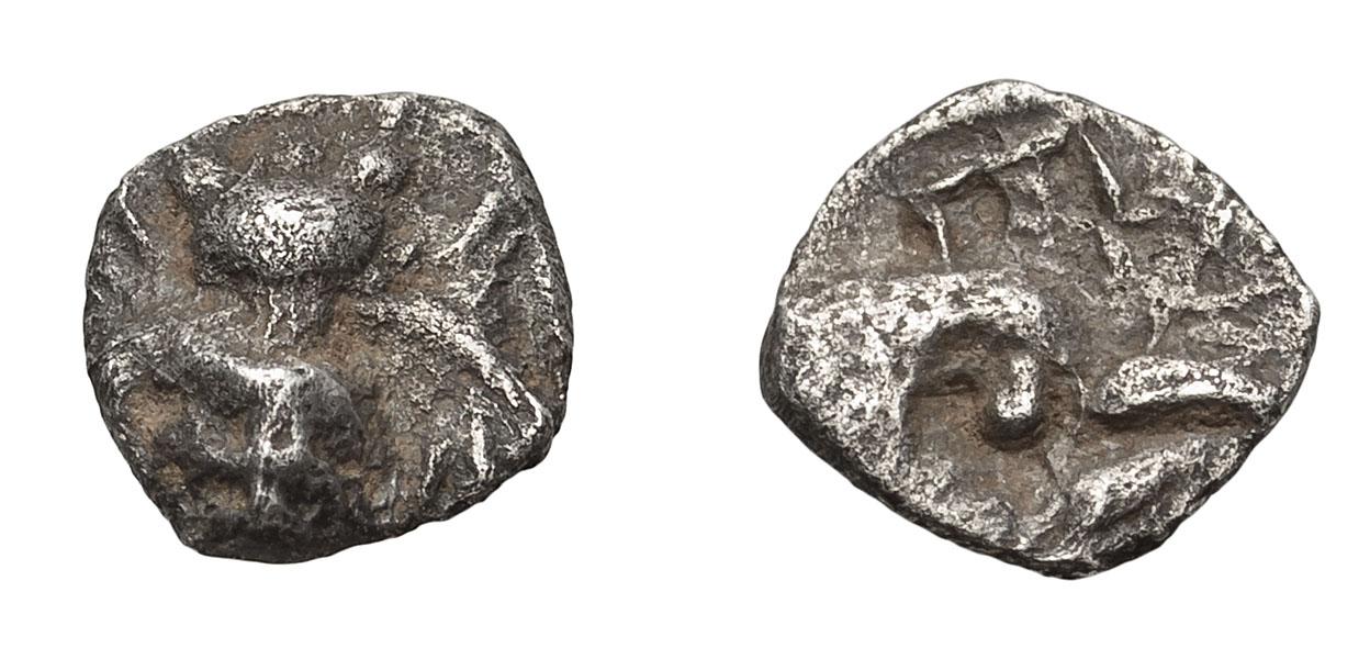 cc79613.jpg