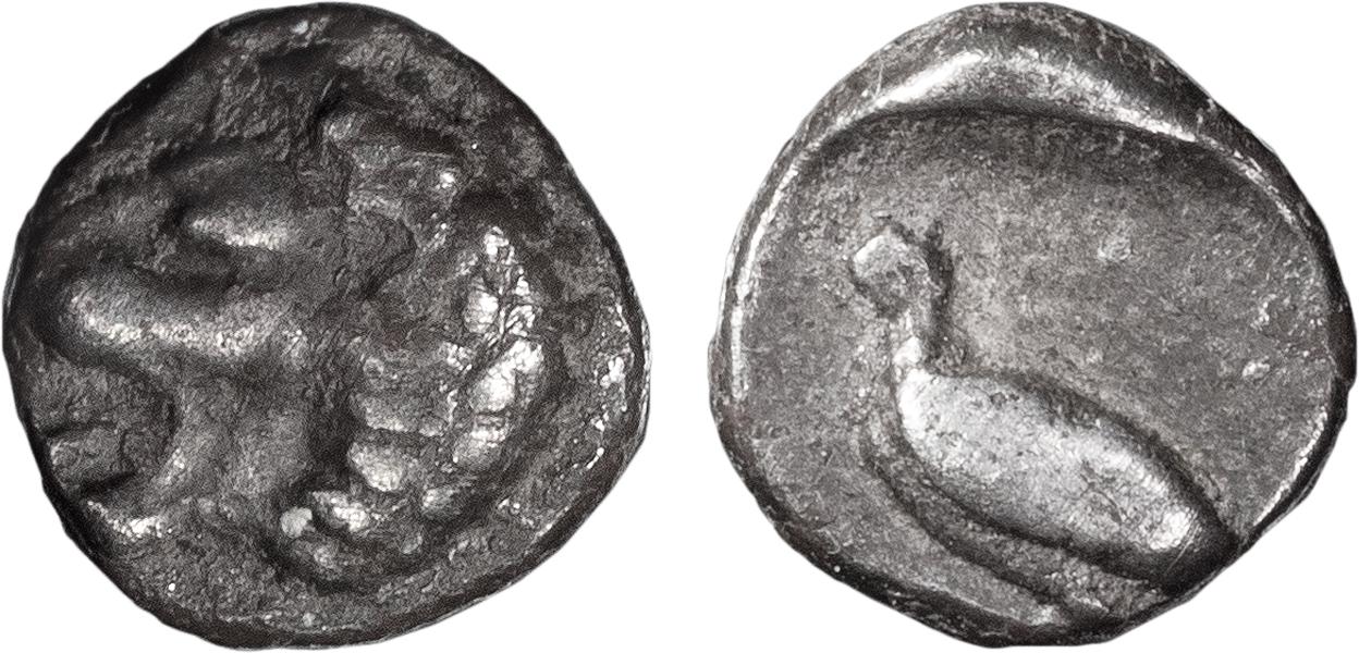 cc88441.jpg