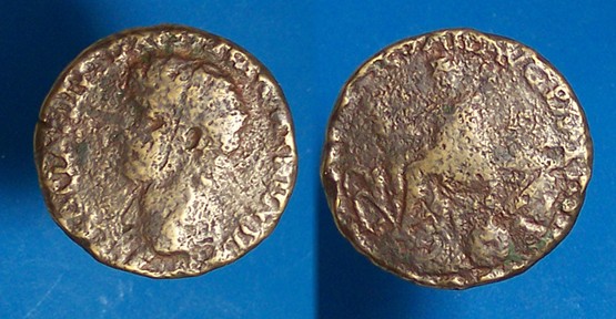 cd3961.JPG