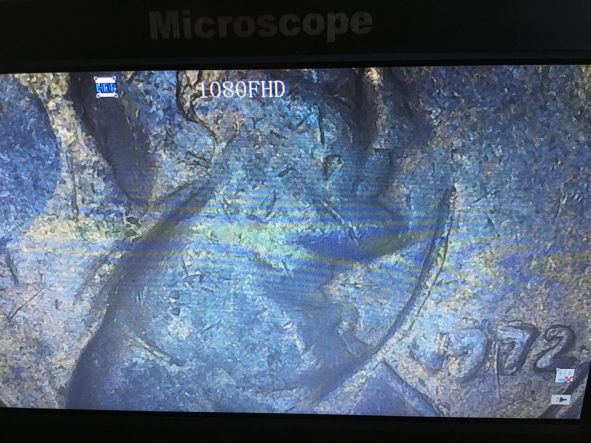 CD425054-0292-4883-8FE9-D07980B77911.jpeg
