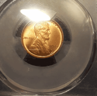 CD5B3E3F-BE08-4593-A09C-5AC7068A08B7.gif