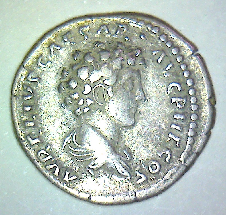 CDCE-276 REVC.jpg
