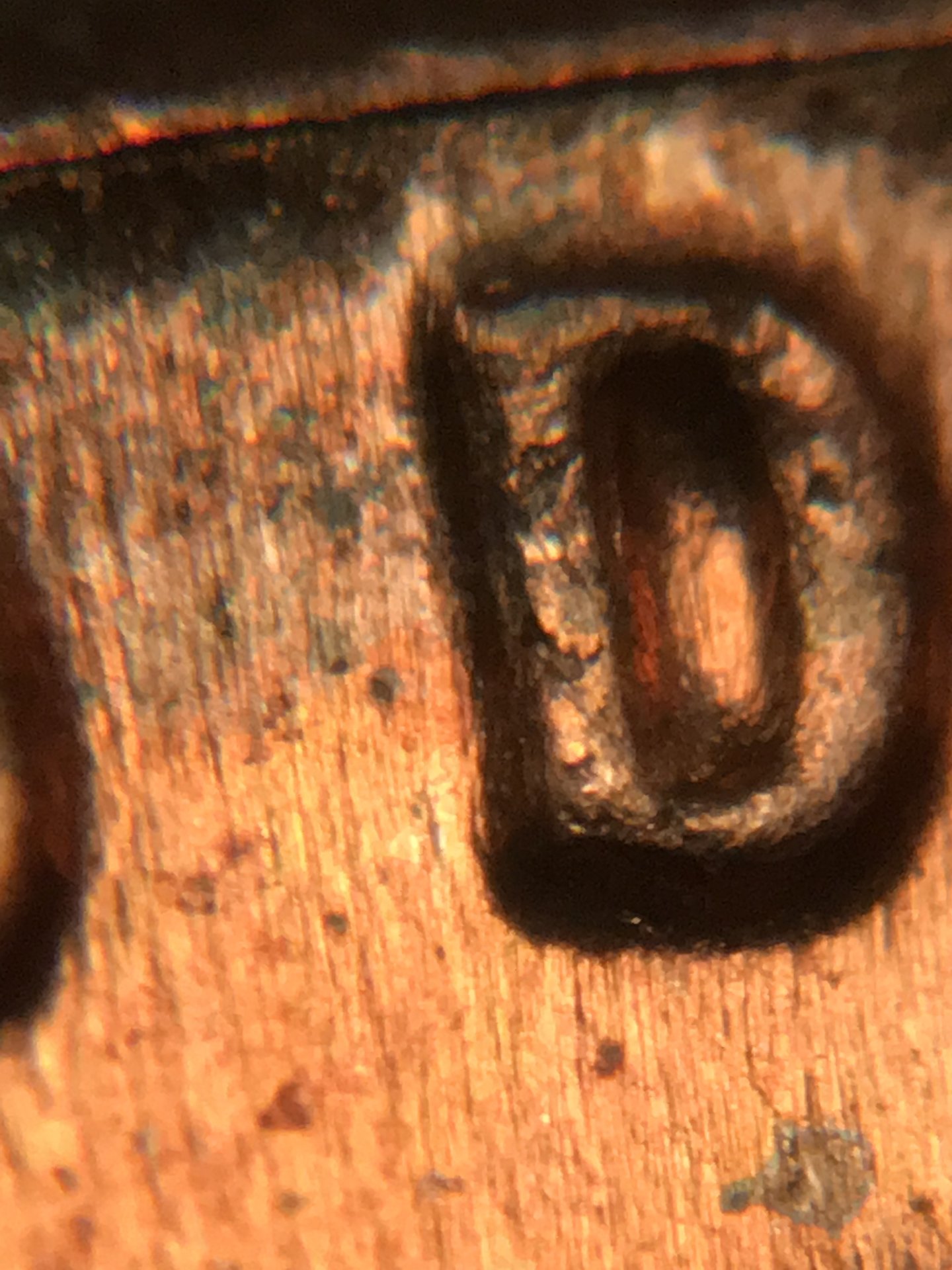 CDCEB1C2-D5CE-40B2-800E-341F8F5C0647.jpeg