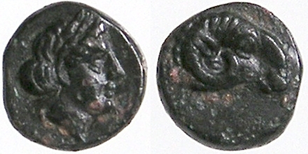 Cebr_0010.jpg