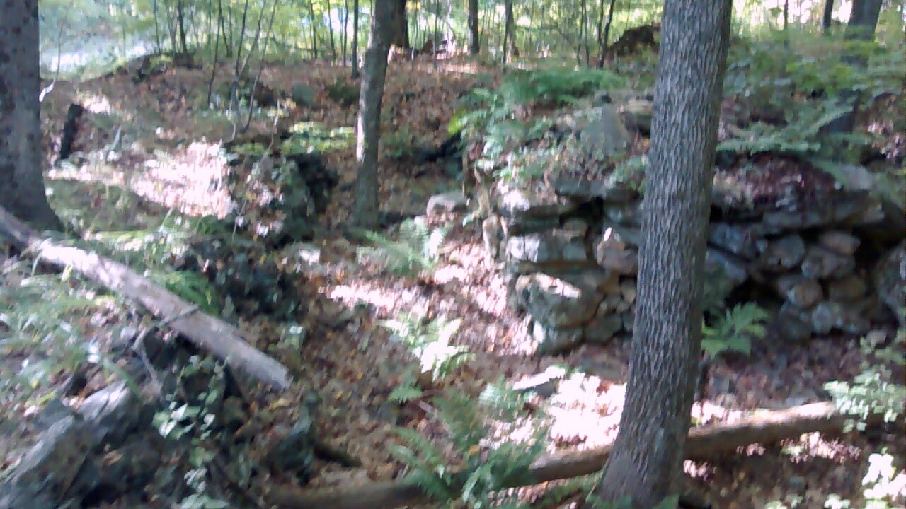 Cellar hole1.jpg