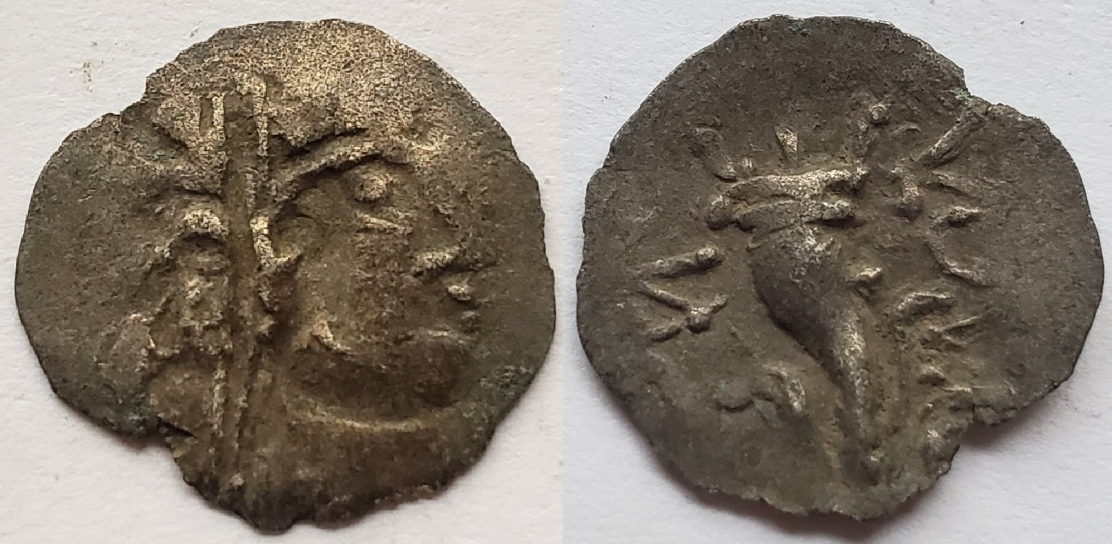 Celtic AR seleucid imitation cornucopia.jpg