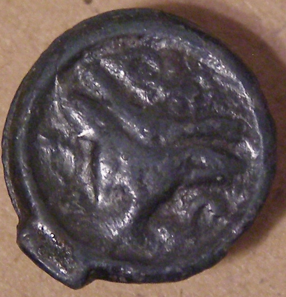 Celtic Bear coin 001.JPG