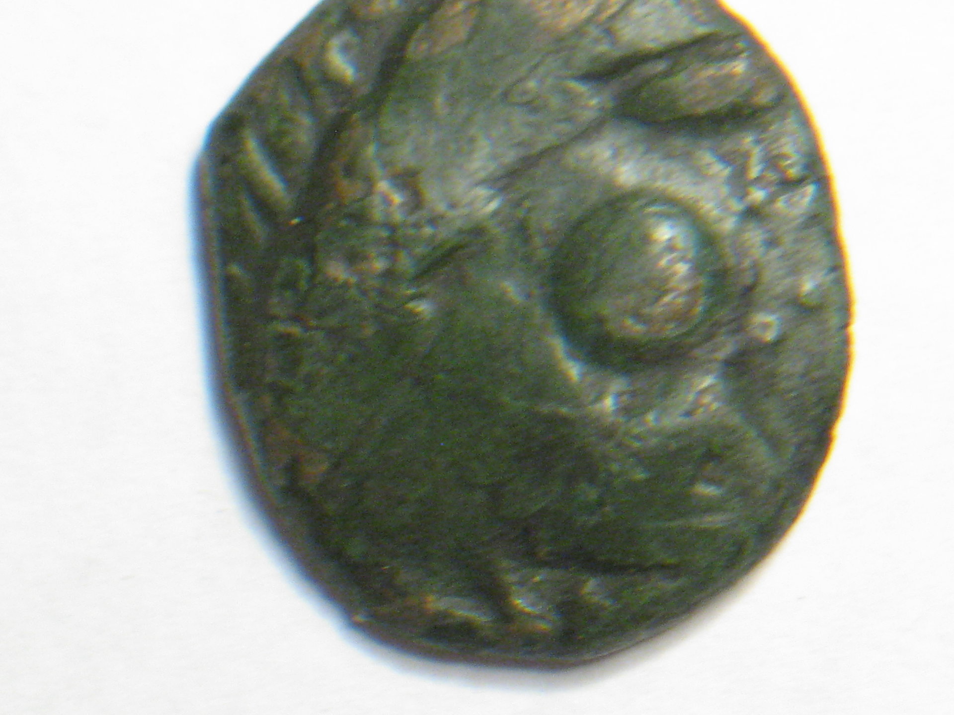 celtic phillip ll 002.JPG
