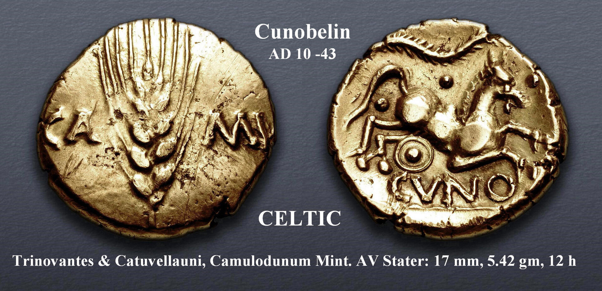 Celtic Stater, Camulodunum Mint.jpg