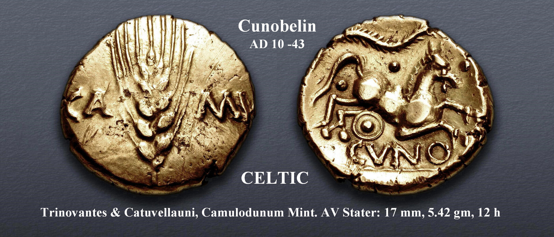 Celtic Stater, Camulodunum Mint.jpg