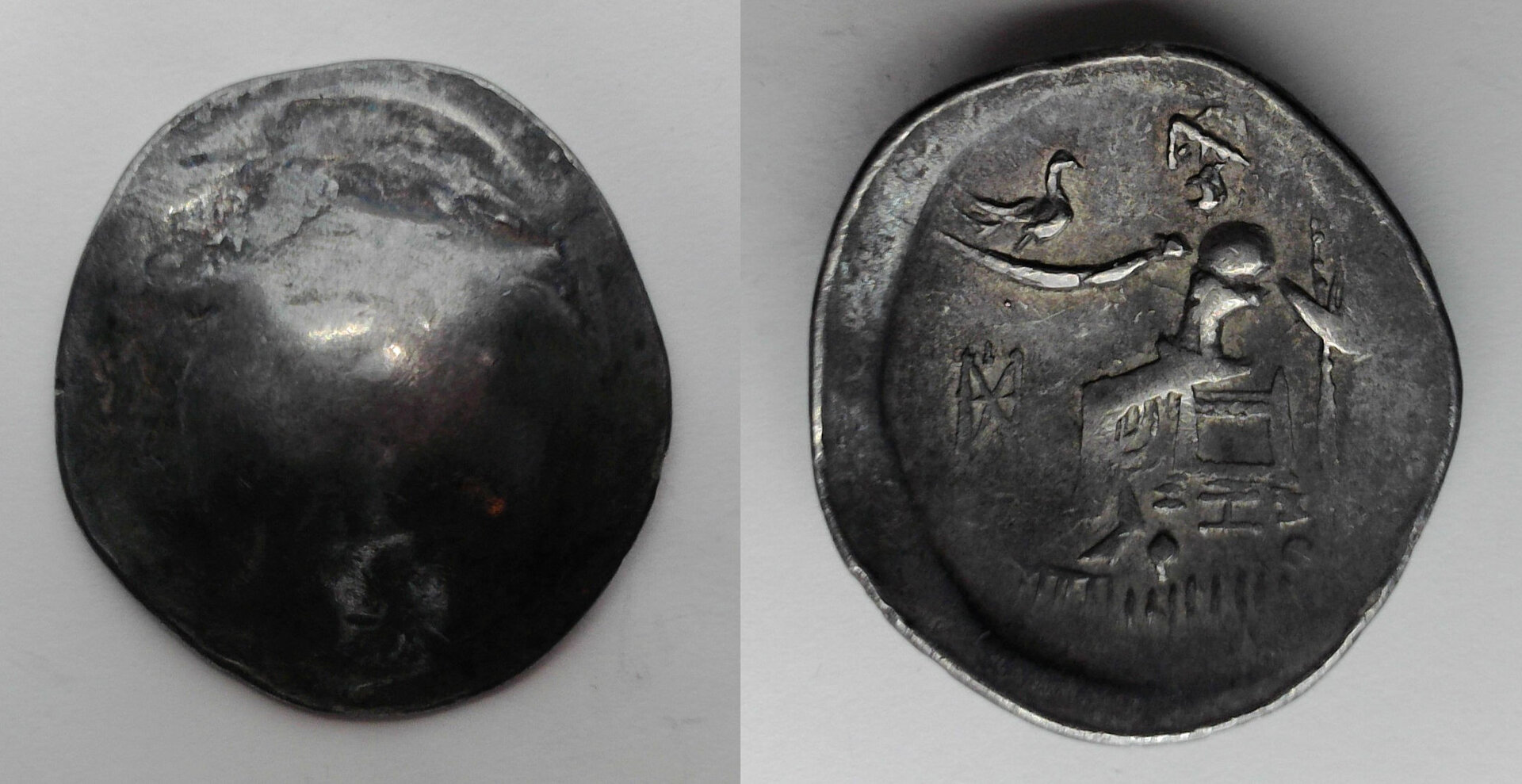 Celtic Tetradrachm.jpg