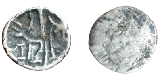 Celtic_Minim-removebg-preview.png