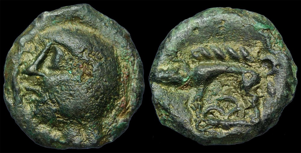CelticPotinBaldBoar.jpg