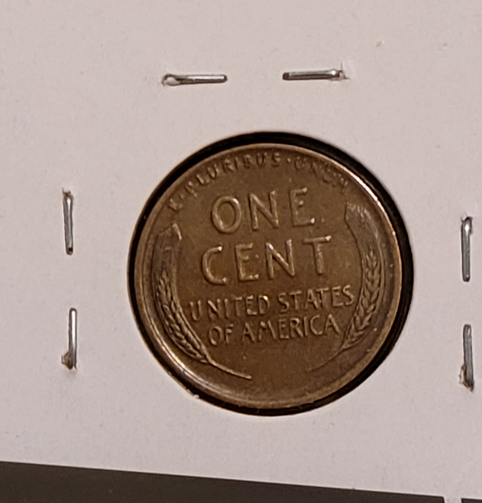 cent 22D reverse.jpg