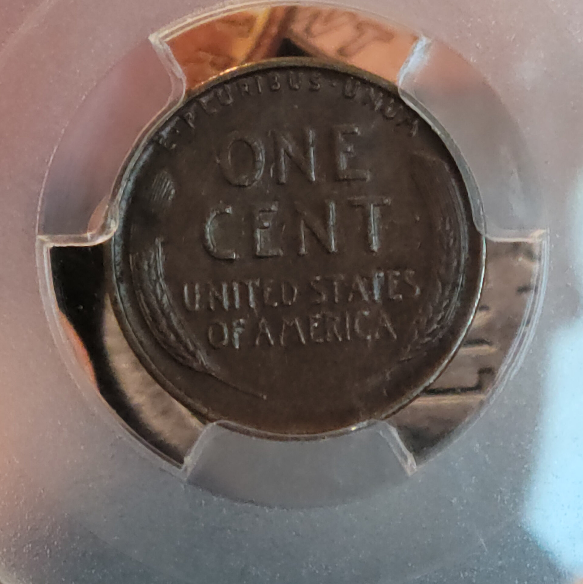 Cent 31S reverse.jpg