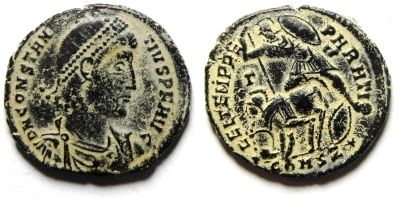 centenionalis.JPG