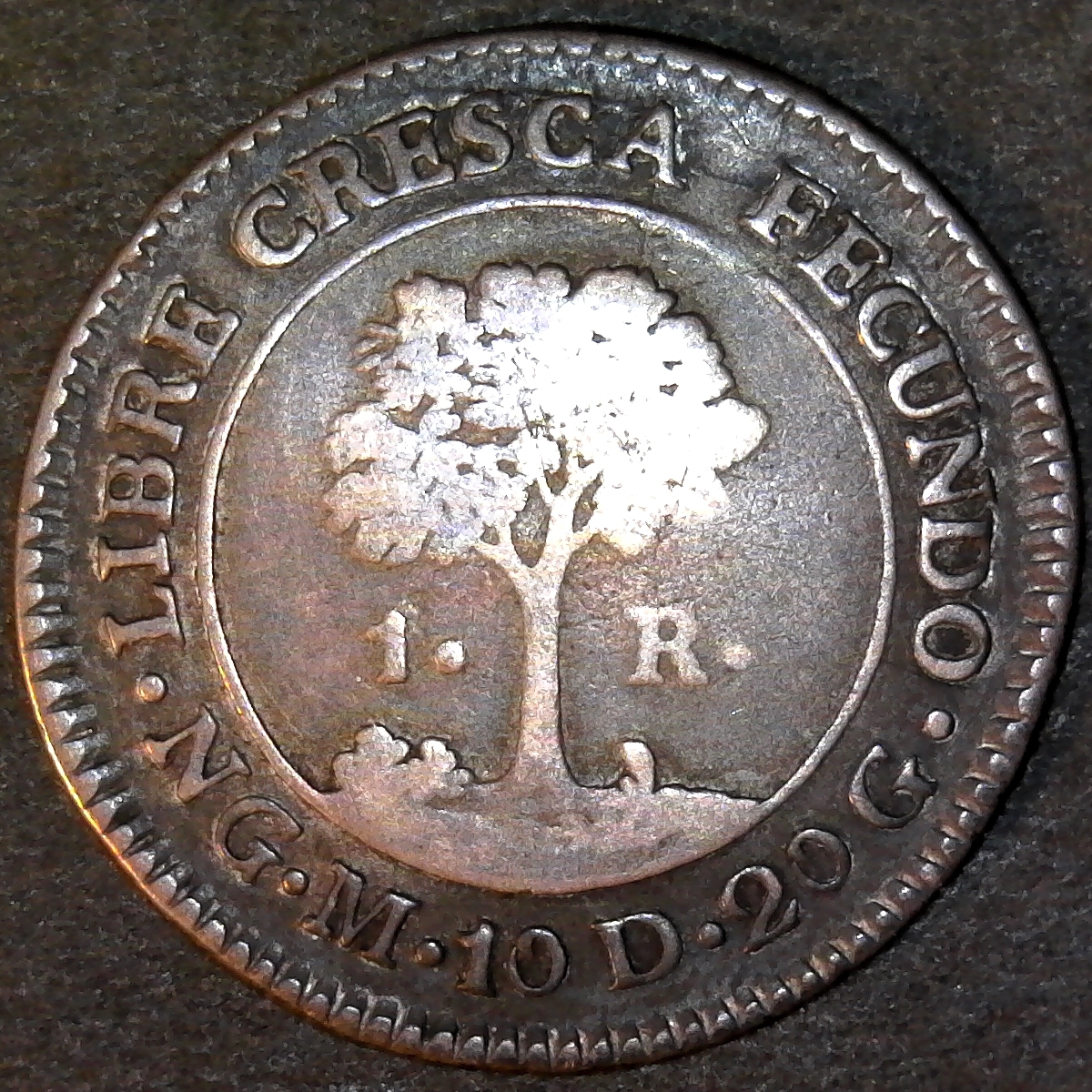 Central American republic 1 Real 1824 Reverse.jpg