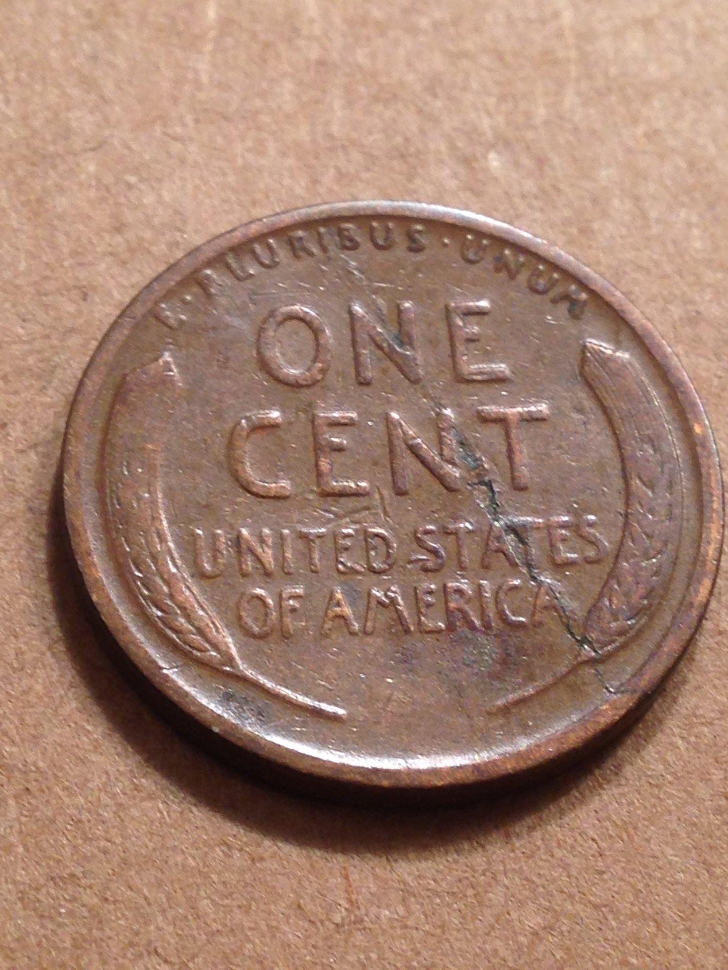 cents and turkey 005.JPG