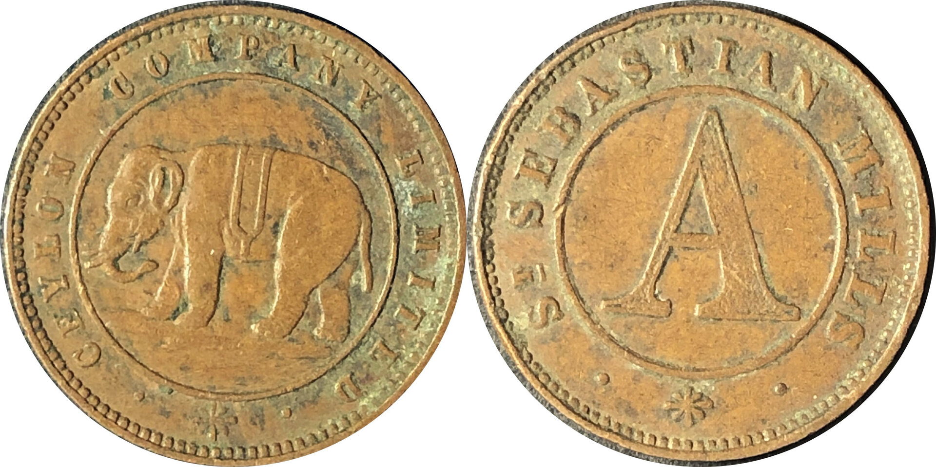 Cey186603.jpg