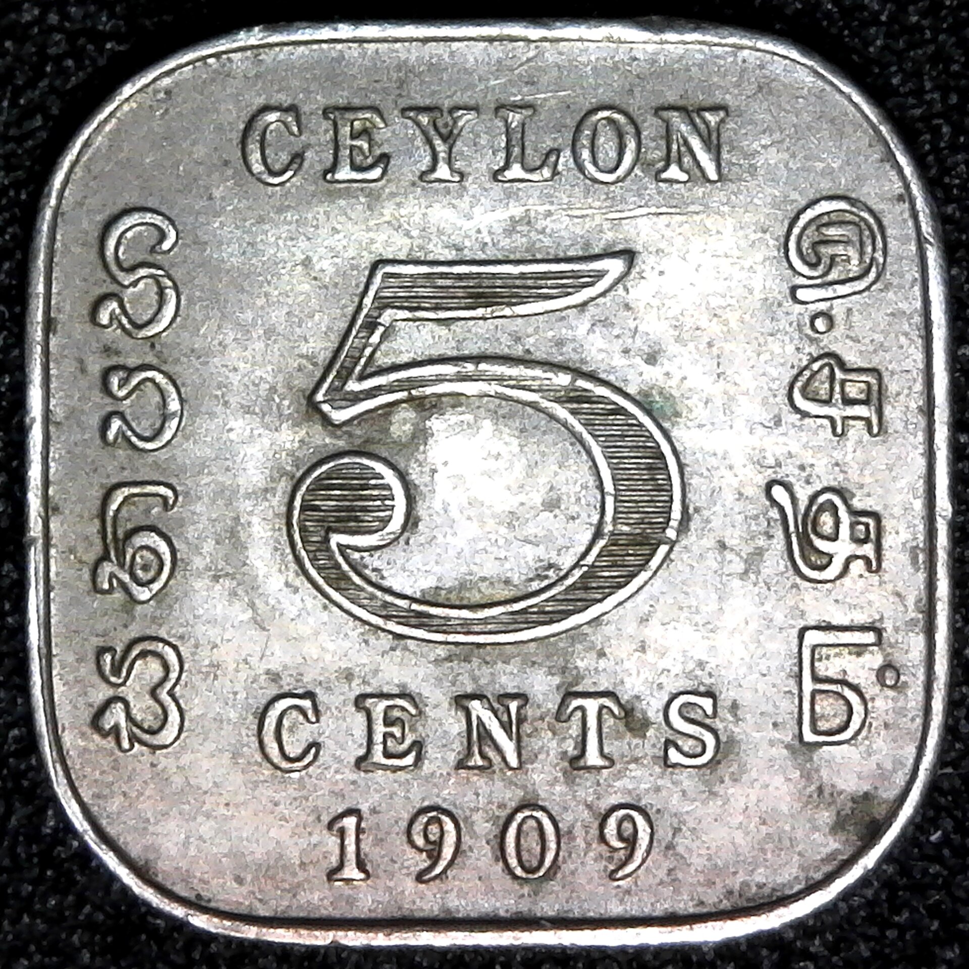 Ceylon 5 Cents 1909 rev.jpg