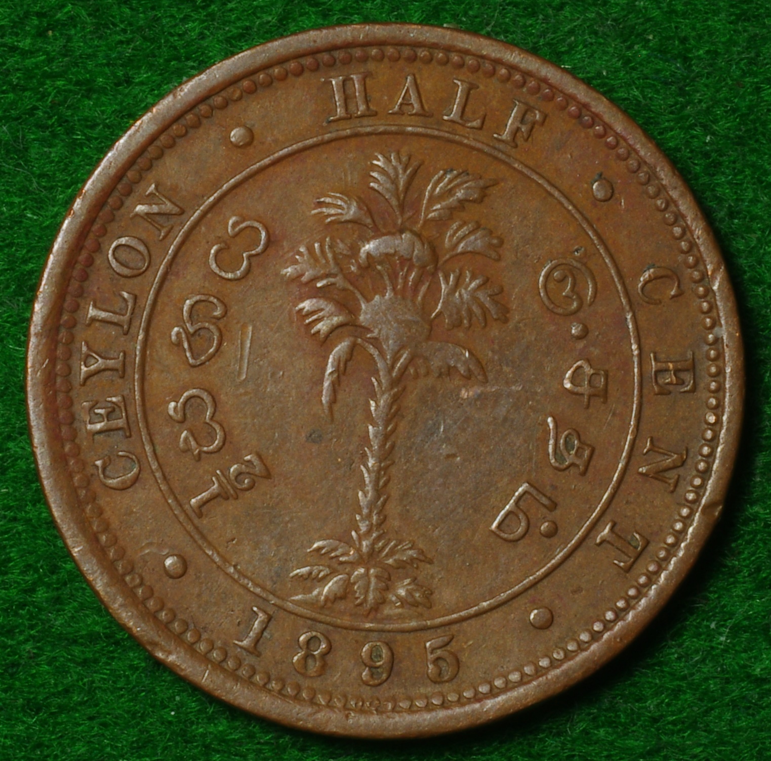 Ceylon Hc 1895 1.JPG