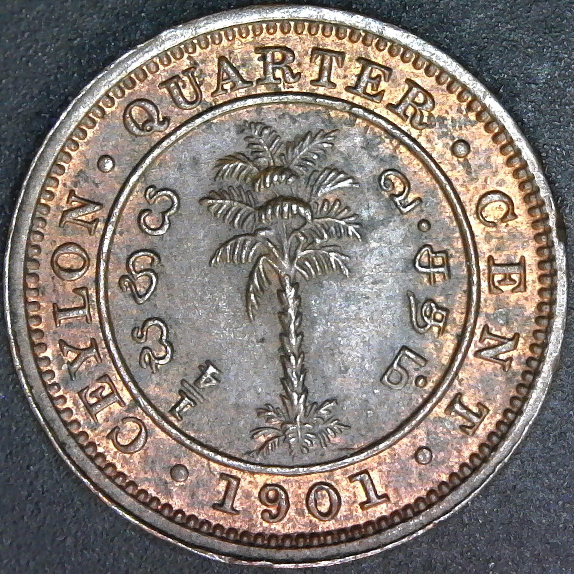 Ceylon Quarter Cent 1901 rev A.jpg