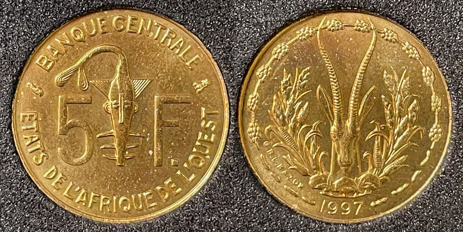 CFA 5.jpg