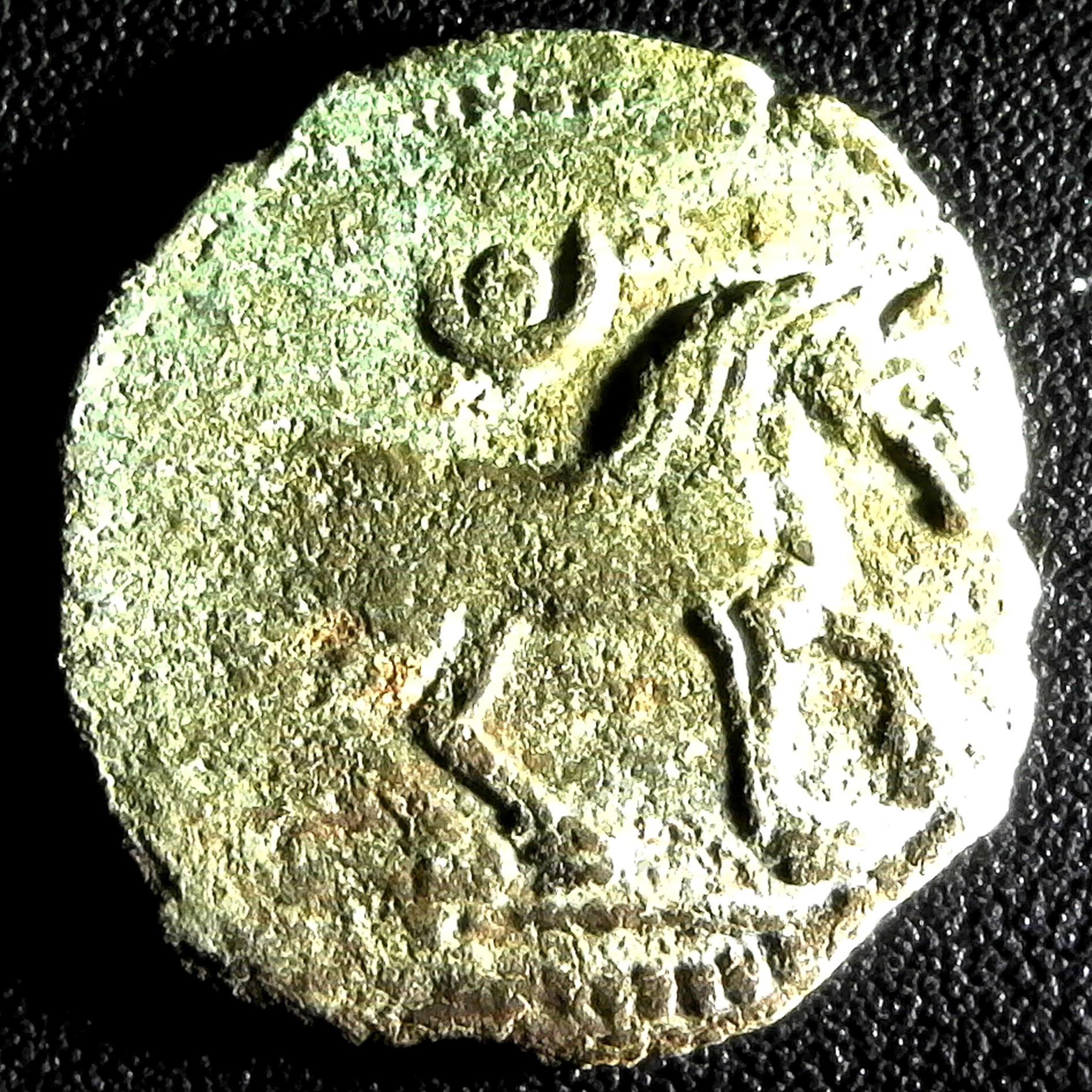 Chach, Horse, 7-8 Ct AD, Sh&K #74 obv.jpg