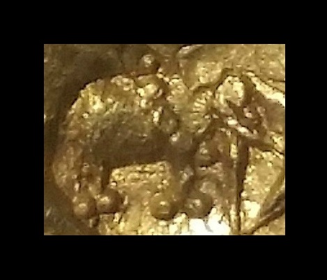 Chalukyaelephant.jpg