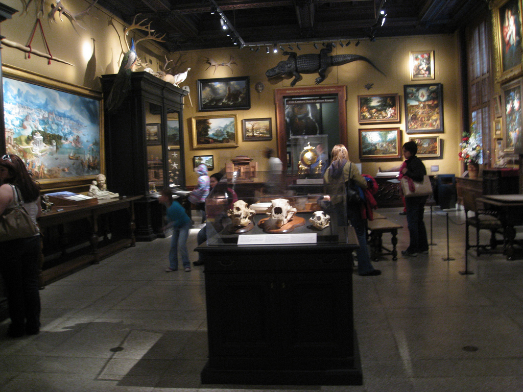 chamber of wonders.jpg