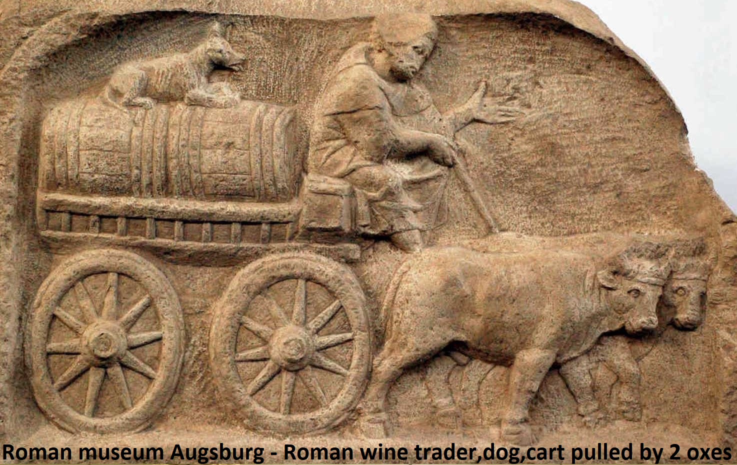 chariot roma.JPG