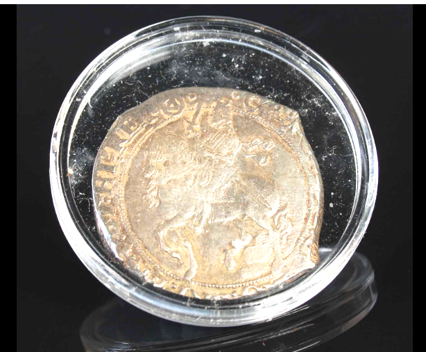 Charles 15 capsule.png