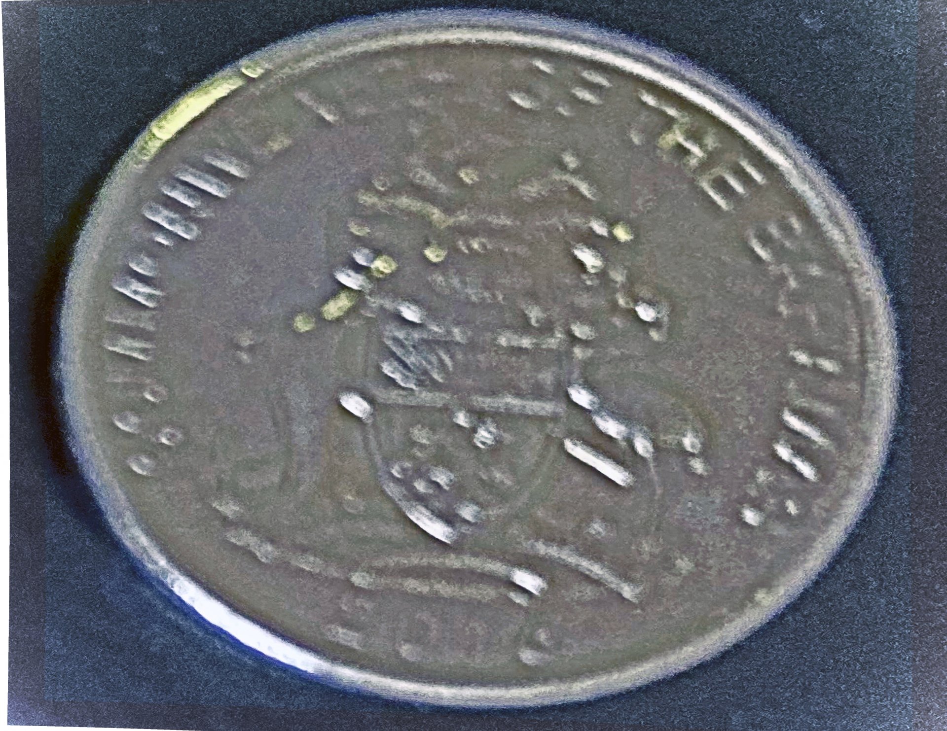 CHARLIE COIN1 .jpg