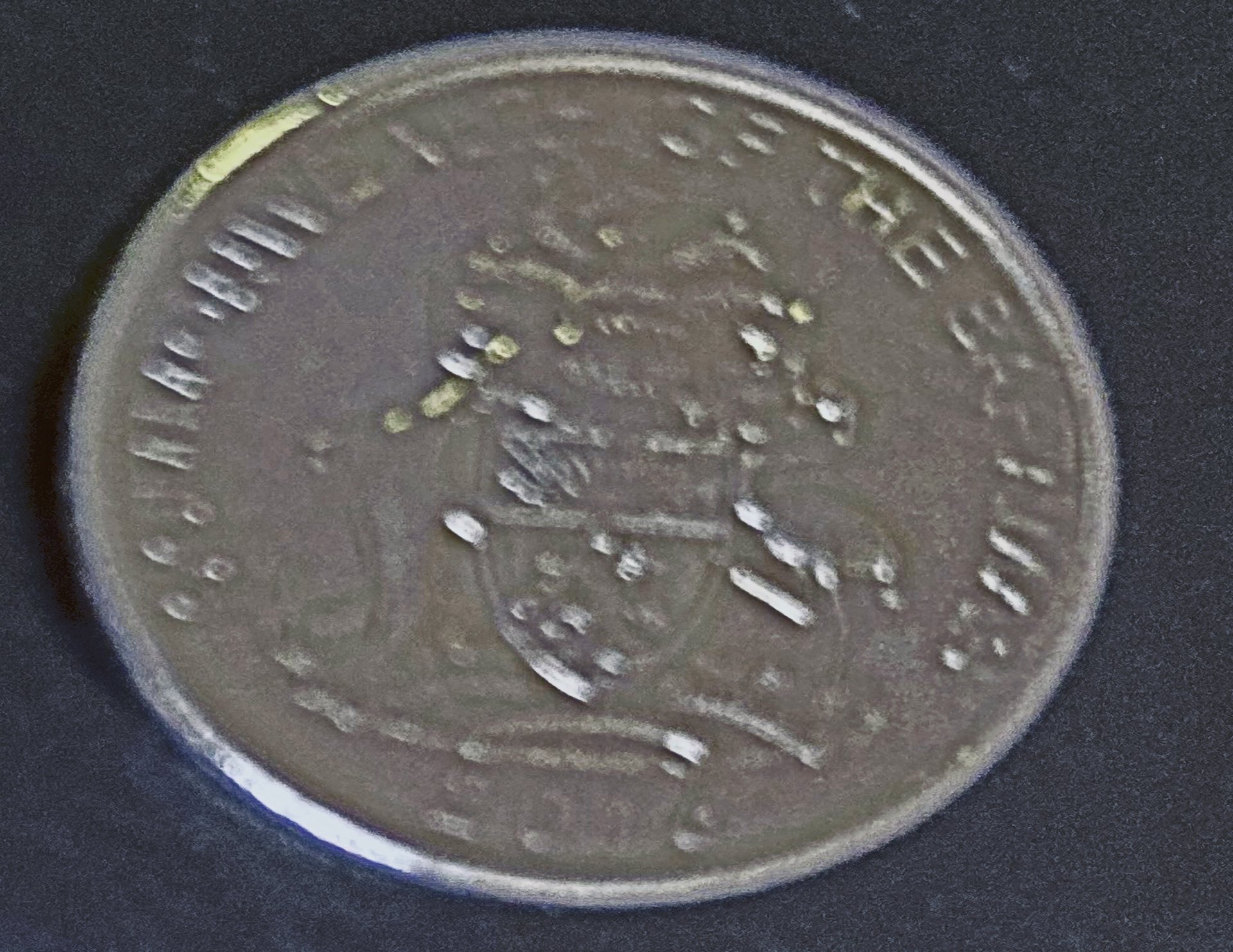CHARLIE COIN1.jpg