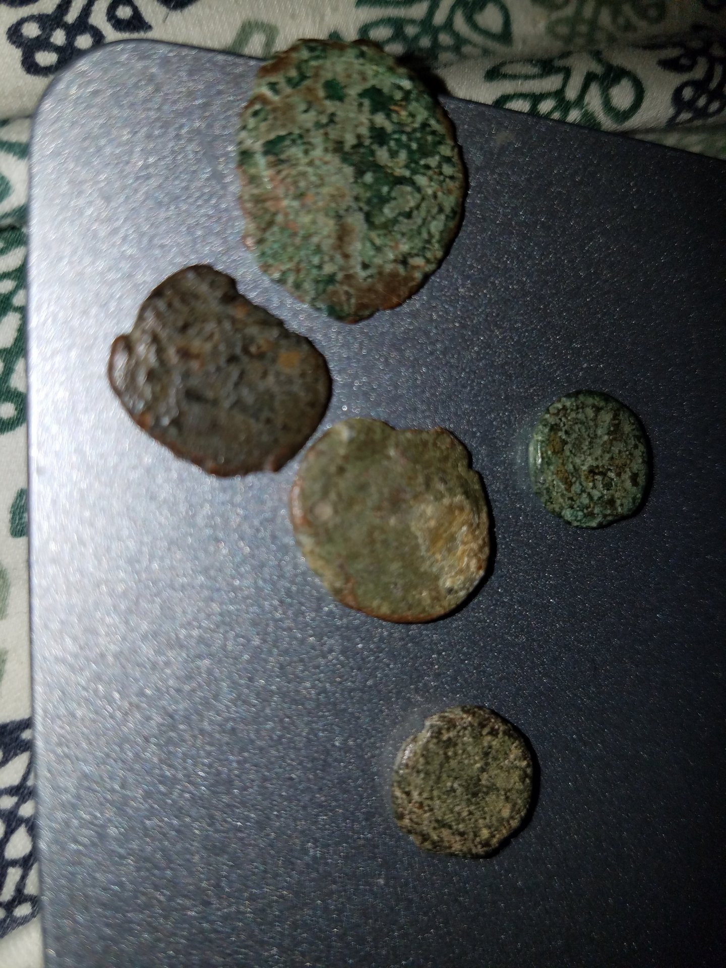 check1.jpg