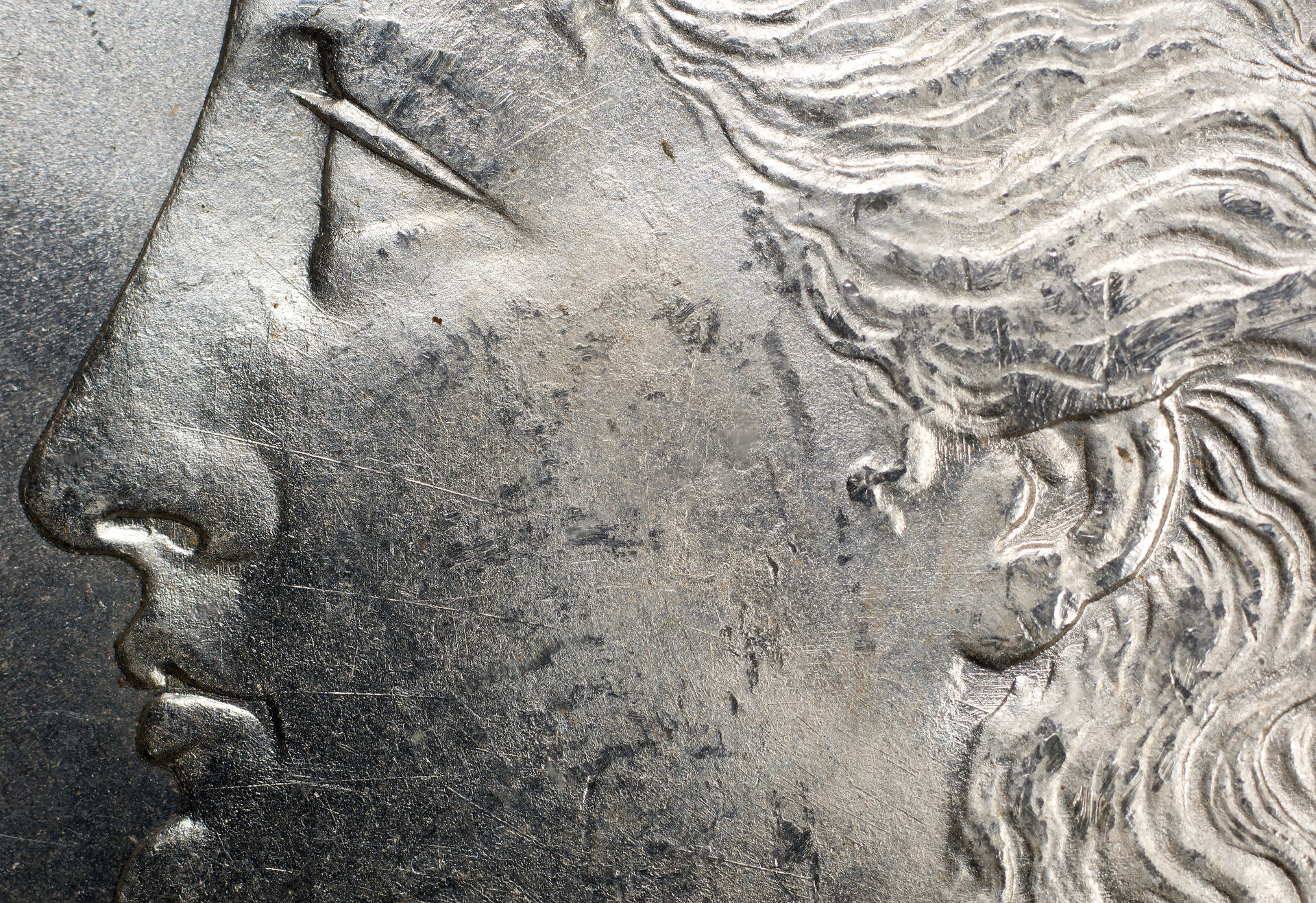 Cheek-and-Nose-Detail.jpg