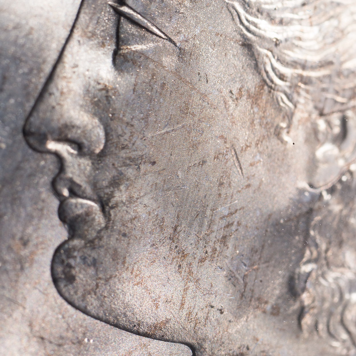 Cheek-Detail.jpg
